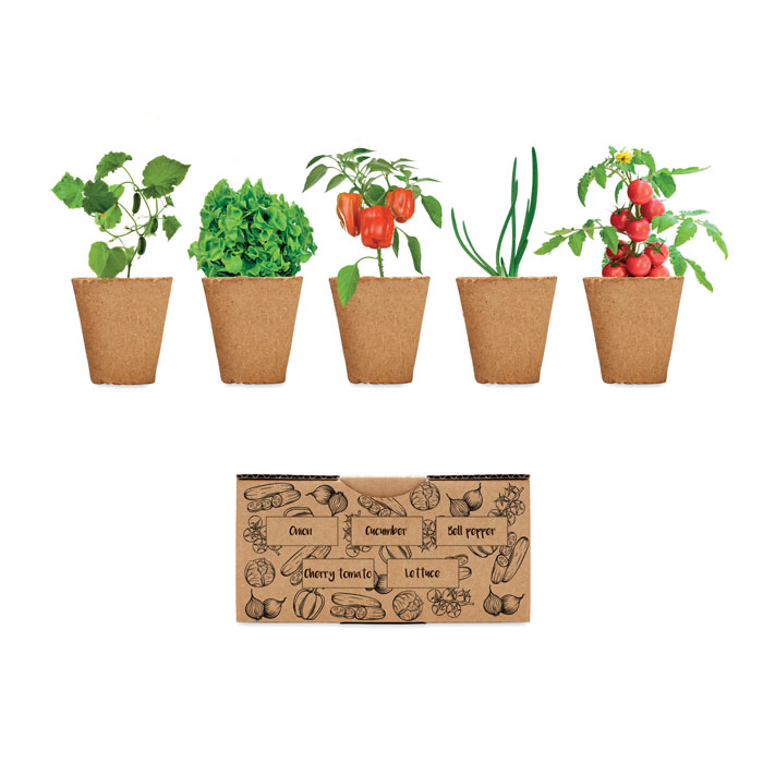 Salad growing kit | Eco promotional gift